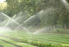 Kingston Beachlandscaping-water-management-and-drainage-17.jpg; ?>